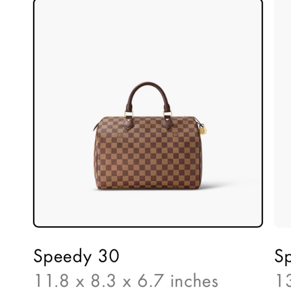 Louis Vuitton Speedy 30 bag